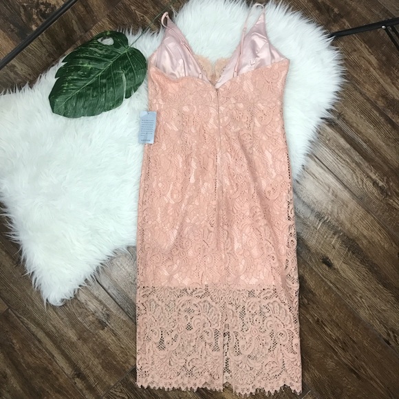 Bardot • Pink Lace Bodycon Pencil Midi Dress - Picture 6 of 8